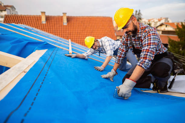 Gutter Installation and Roofing in Gunter, TX