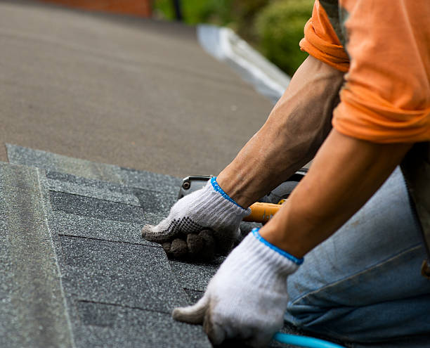 Best Roof Gutter Cleaning  in Gunter, TX